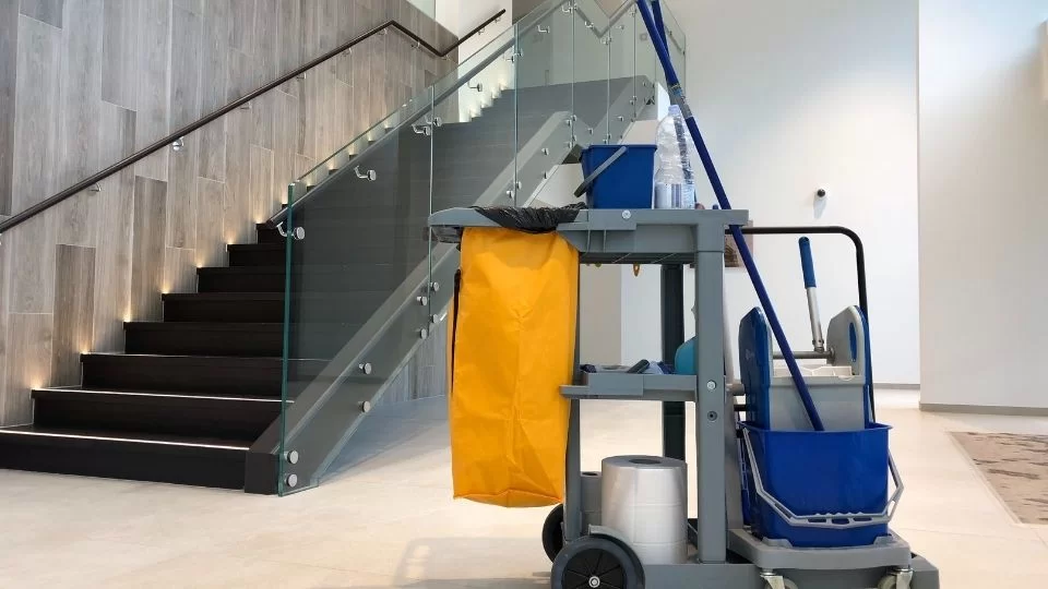 Apartman Temizliği